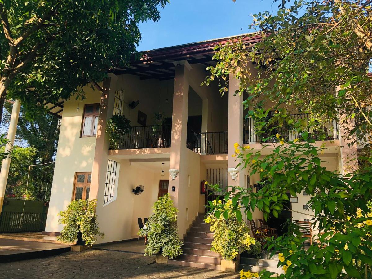 West Dene Bed and Breakfast Negombo Eksteriør billede