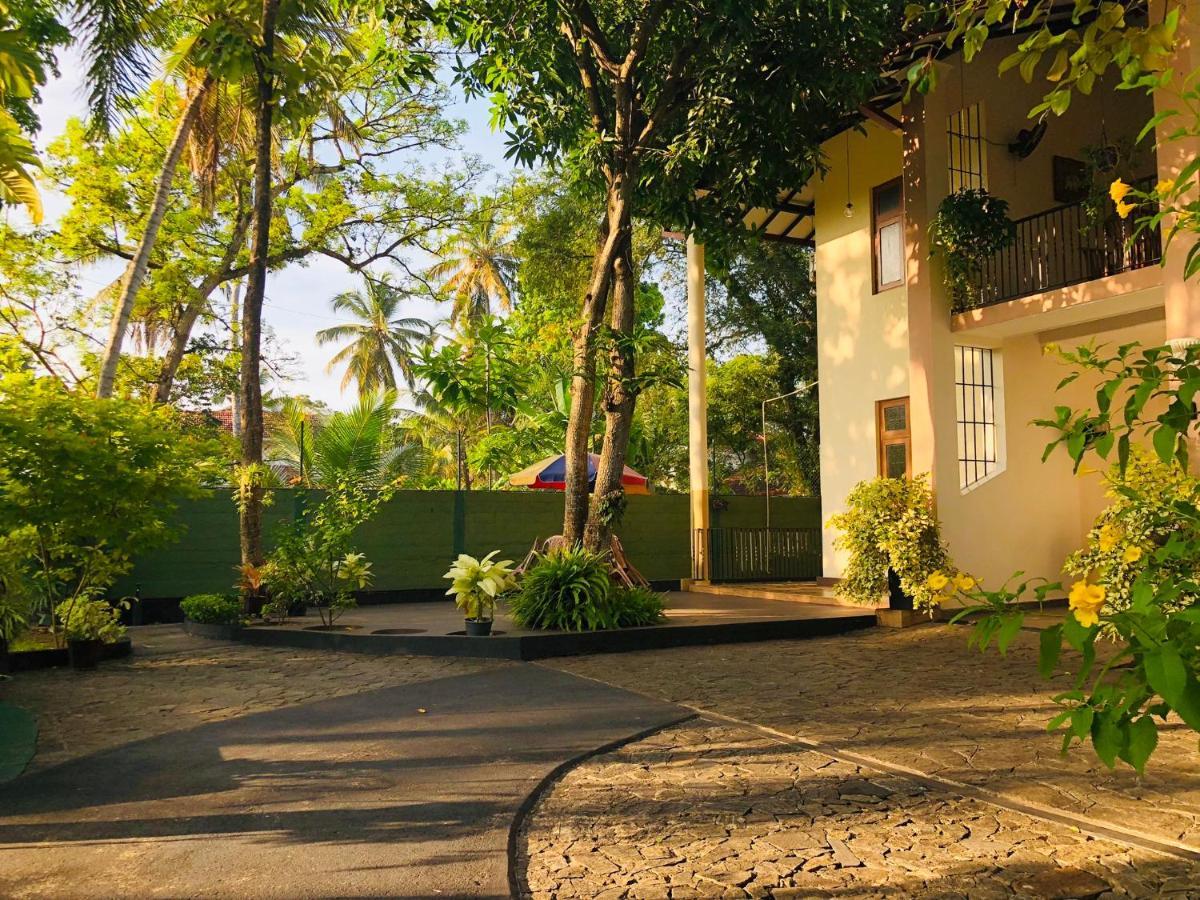 West Dene Bed and Breakfast Negombo Eksteriør billede