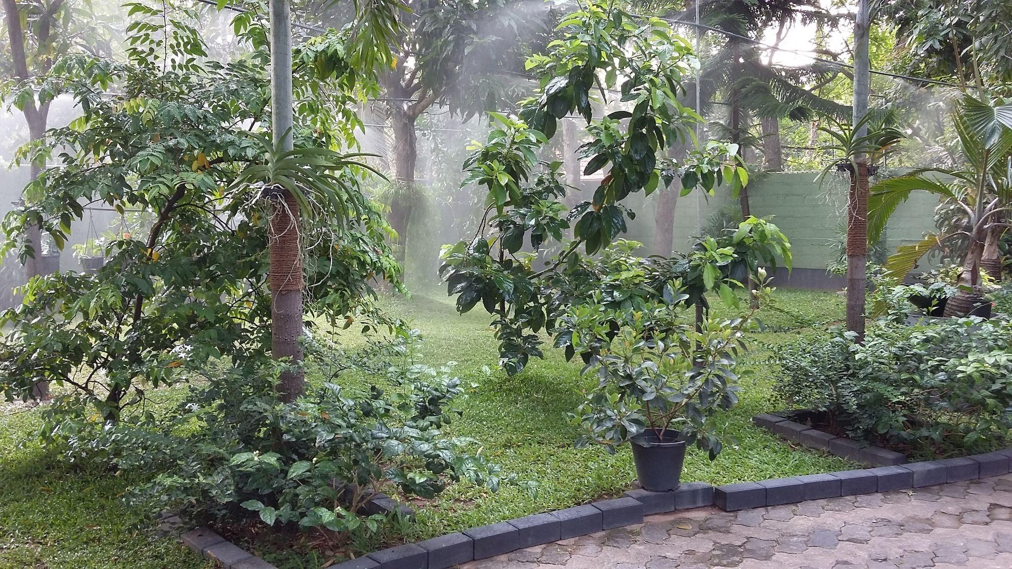 West Dene Bed and Breakfast Negombo Eksteriør billede
