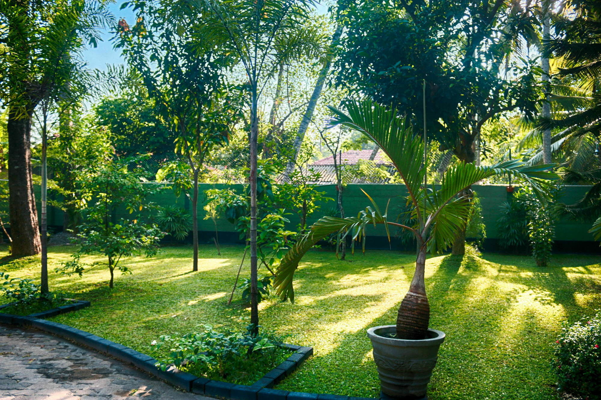 West Dene Bed and Breakfast Negombo Eksteriør billede