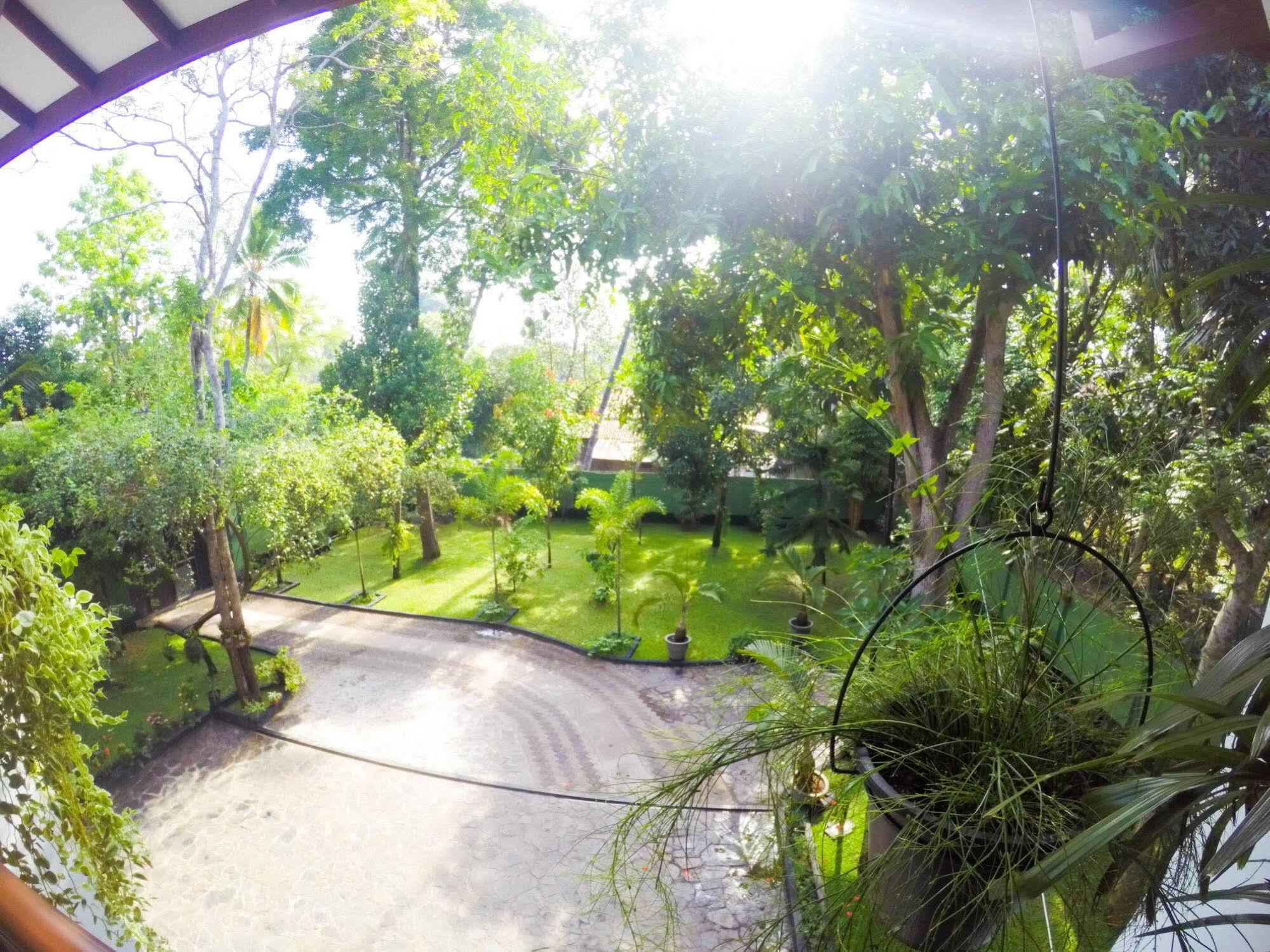 West Dene Bed and Breakfast Negombo Eksteriør billede